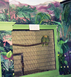 Mural Painter - Old Vilas Zoo Bird House Mural - environment habitat painting - zoo mural - Madison, Wisconsin